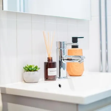 公寓 Lux In Downtown 赫尔辛基