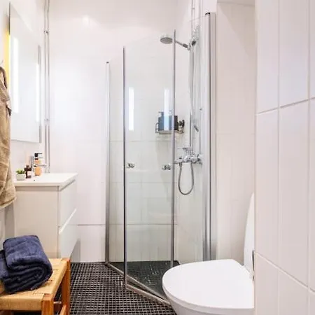 公寓 Lux In Downtown 赫尔辛基